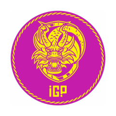 Двухцветная ГОБО линза